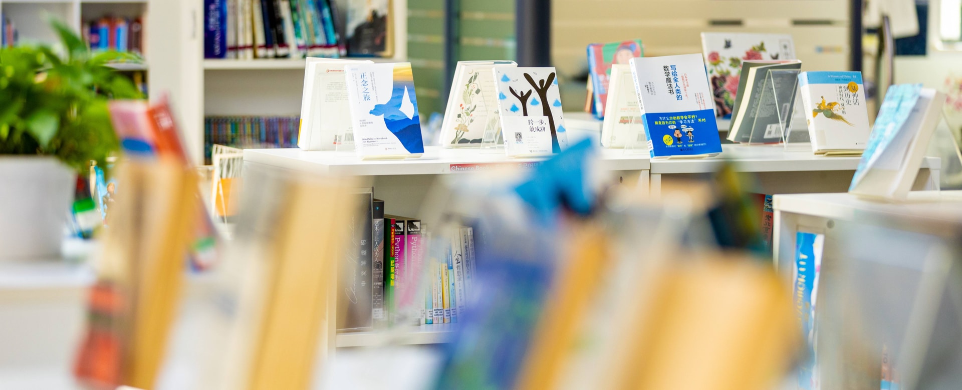 International School Facilities